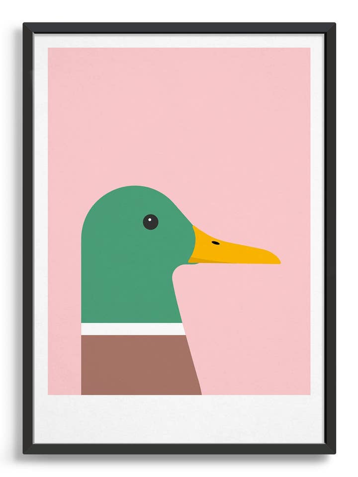 Duck for wholesale by Rocket Jack