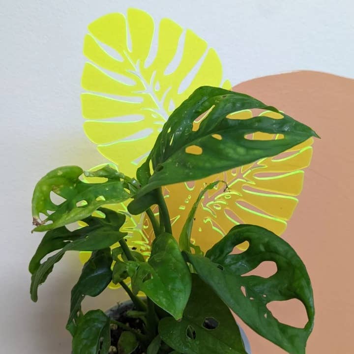 Climbing Leaves Decorative Plant Trellis for wholesale by Catchpenny