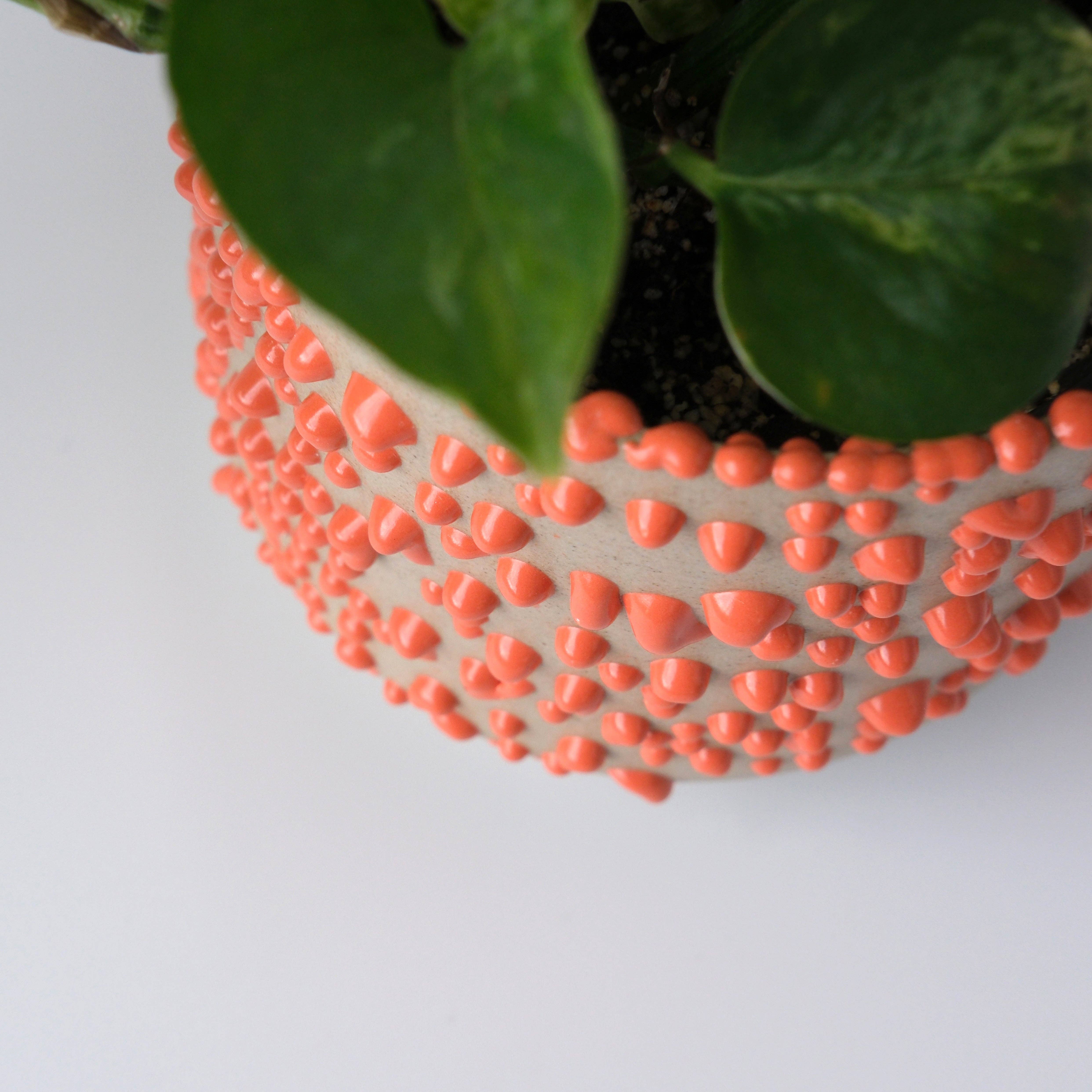 Misewell - Wholesale Plant Pot - Kolo (Gloopy) Planter4