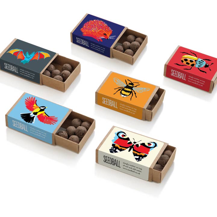 Seedball – wholesale Plant seeds – Wildlife Collection Seed Boxes1