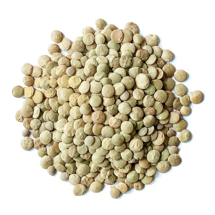 Food To Live - Wholesale Plant seeds - Organic Whole Green Lentils — Non-GMO, Sproutable, Kosher1