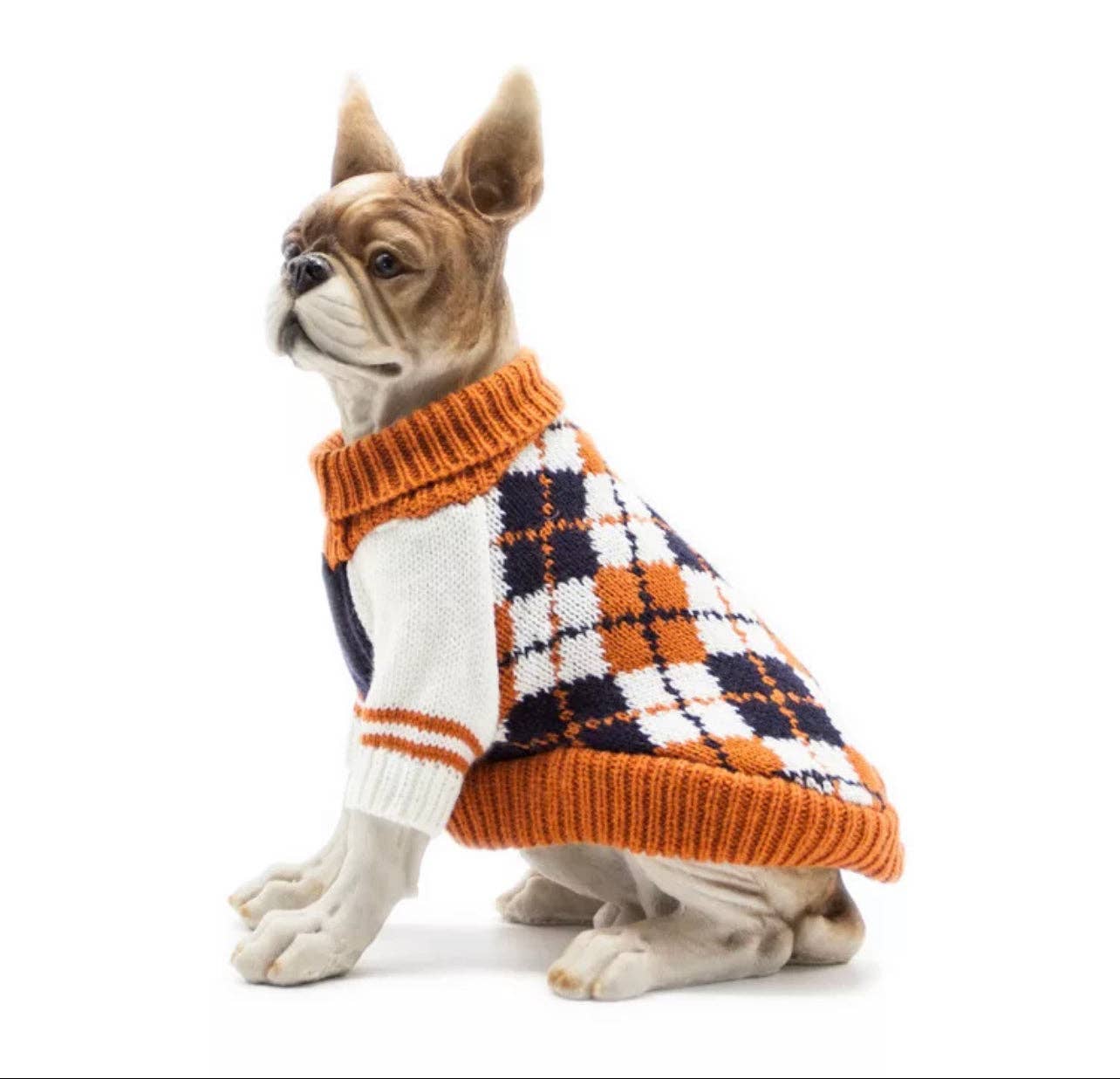 Daniel’s Pet Emporium - Wholesale Hondentrui - Hond - Gebreide trui van Ginger Cardi | Daniel's Pet Emporium