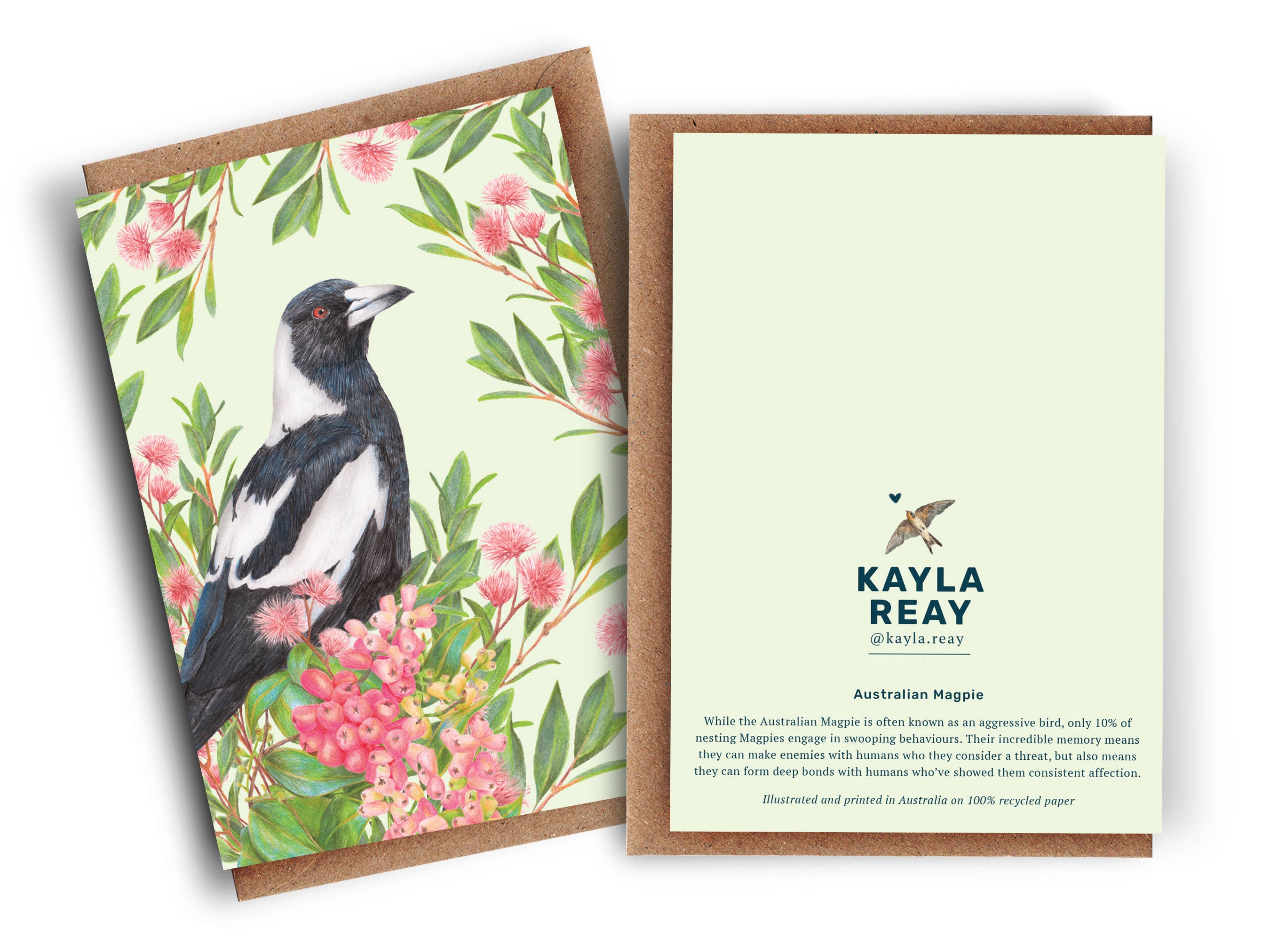Kayla Reay Design - Wholesale Everyday Greeting Card - Australian Magpie Greeting Card - Australian Bird Art2