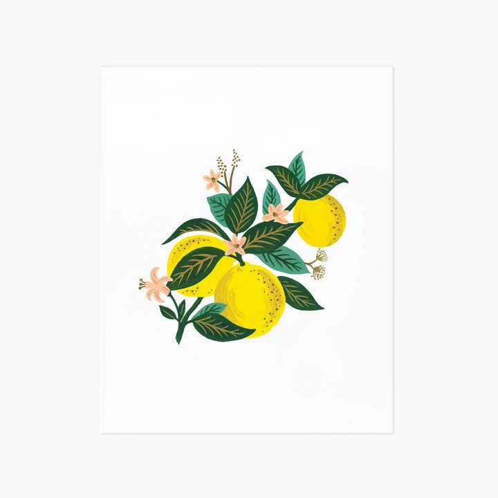 Rifle Paper Co. - Wholesale Art Print - Lemon Blossom Art Print