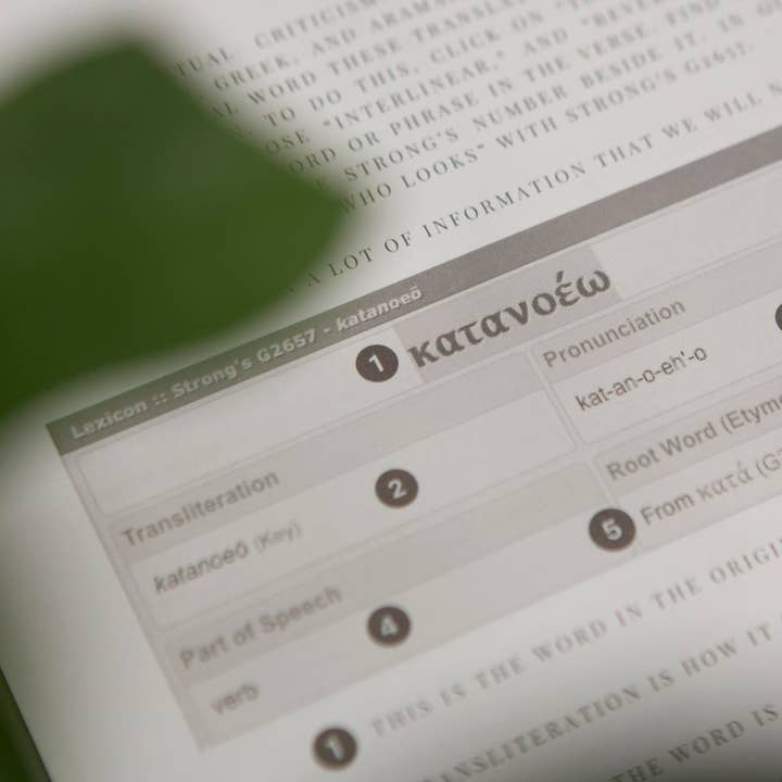 Chosen & Cherished - Wholesale Journal/Diary - Bible Journal for Verse by Verse Bible Study4