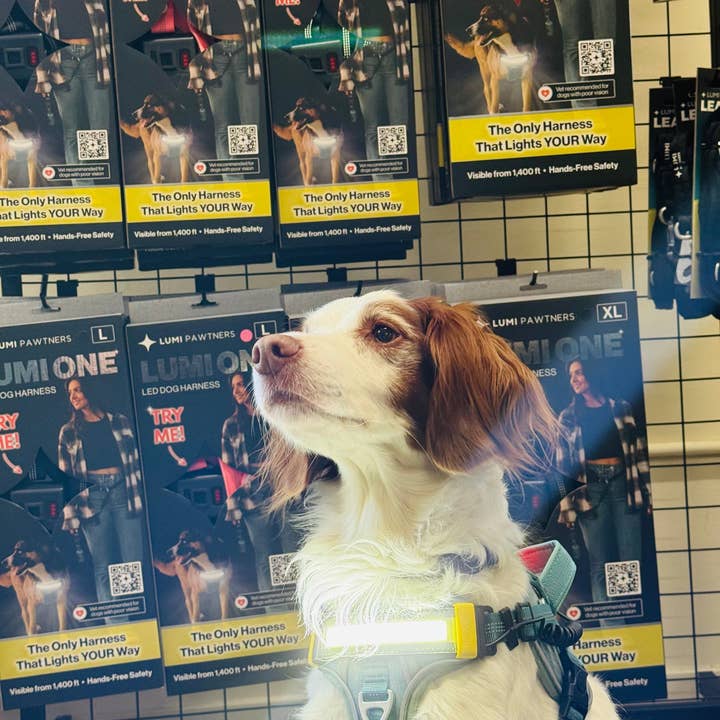 Lumi Pawtners - Wholesale Pet Harness - Dog - Lumi One - Lighting Your Path at Night!3