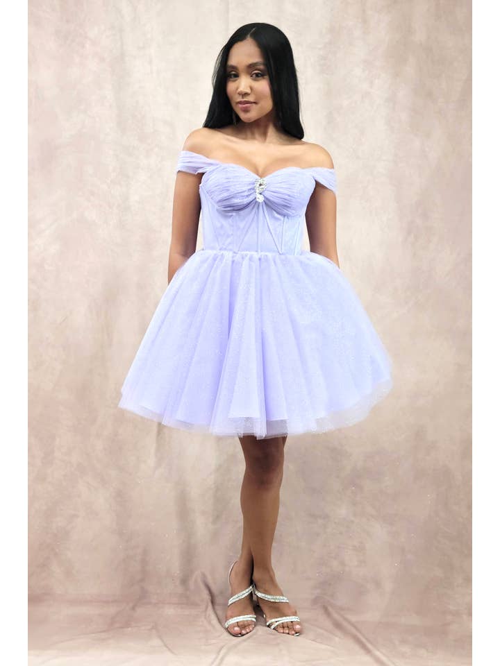 Chicas - Wholesale Dress - Women's - Short Off The Shoulder Tulle Dress With Brooch29