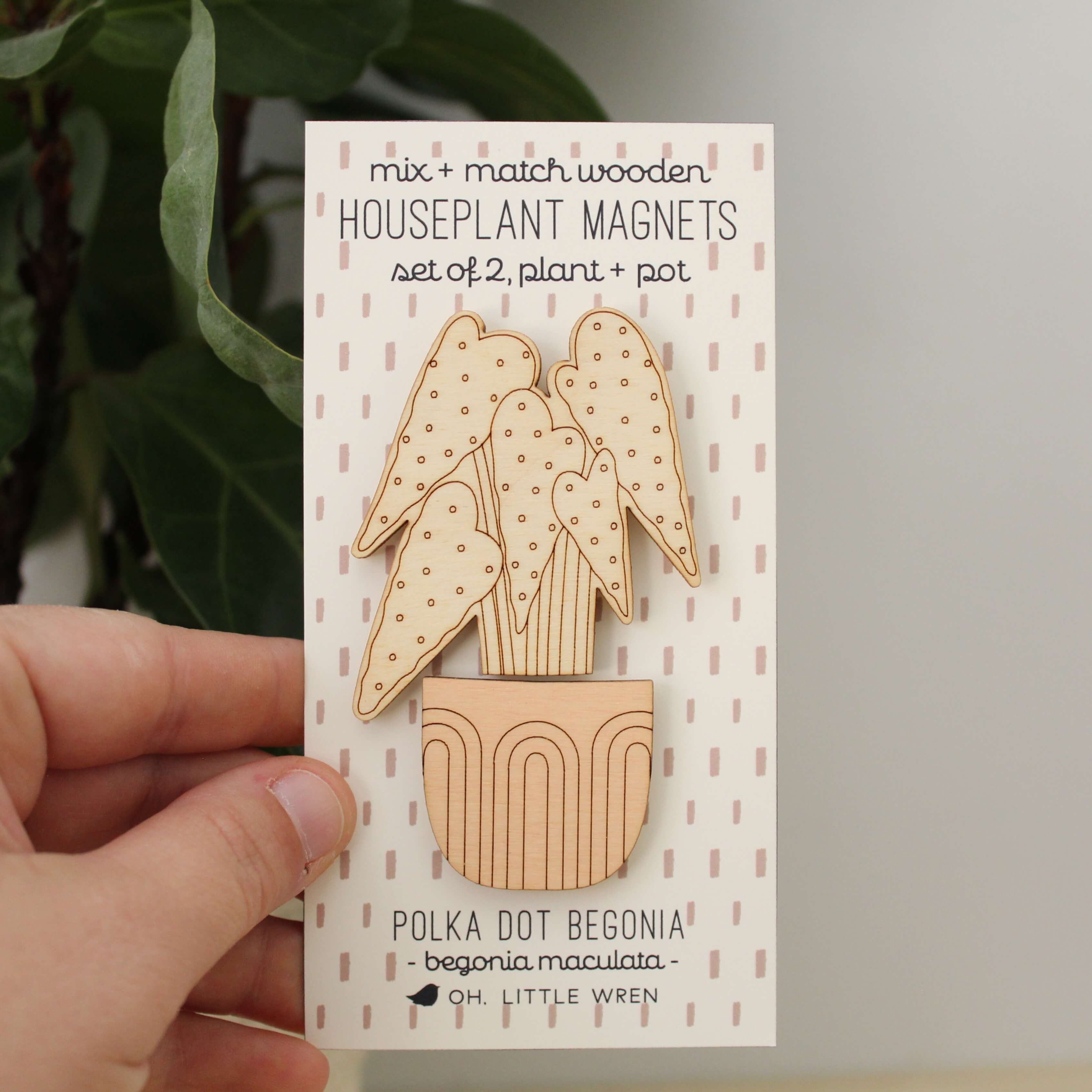 oh, little wren - Wholesale Magnet - Wood House Plant Magnets | Polka Dot Begonia | Plant Lover Gift1