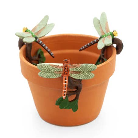 Suspension de Pot de Plante Libellule pour la vente par Golden State Succulents
