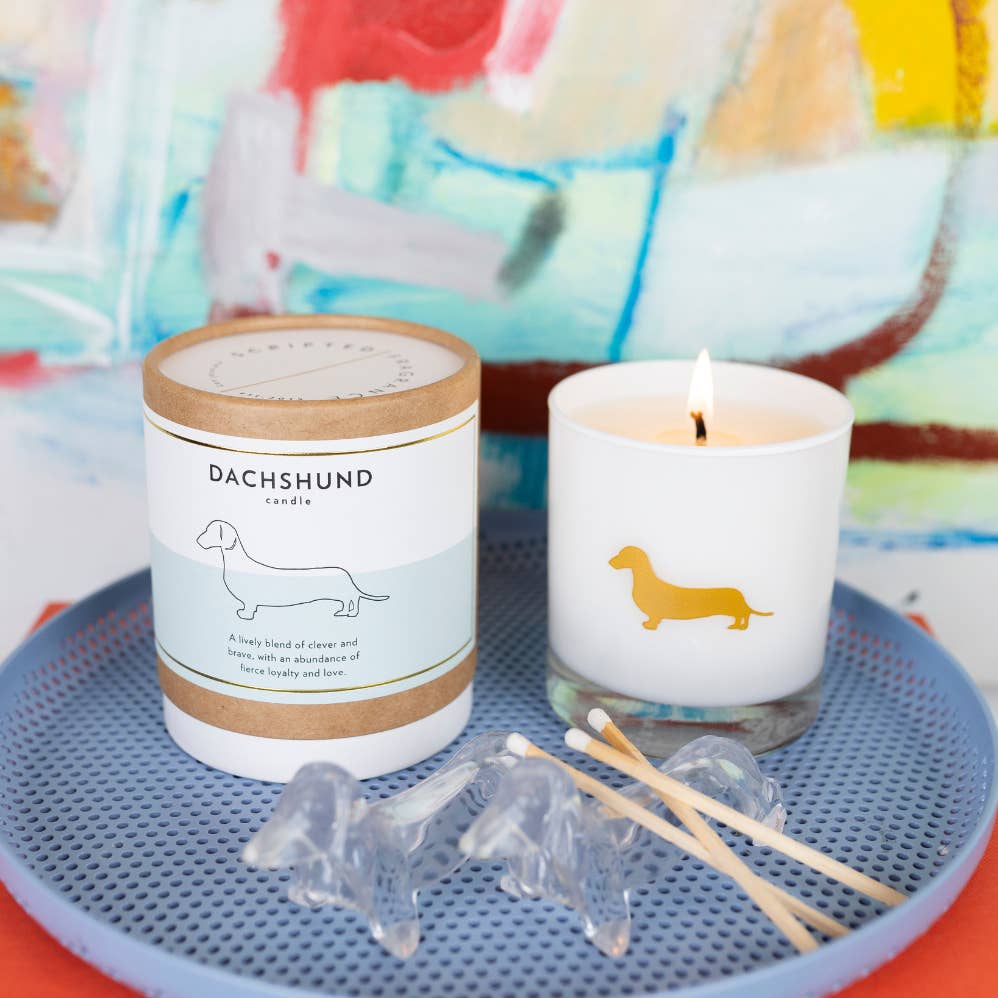 Scripted Fragrance – wholesale Burkljus – Dachshund Hundras Sojaljus - LÄS PRODUKTNOTER1