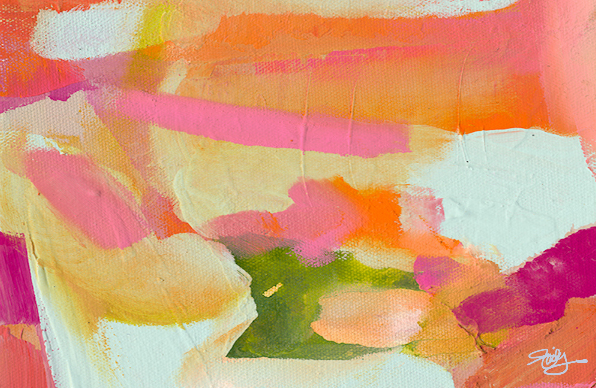 TAYLOR GRAY - Vente Plateaux décoratifs - Ensemble de 10 inserts 11x17 JULIE DAILEY COLLAB5