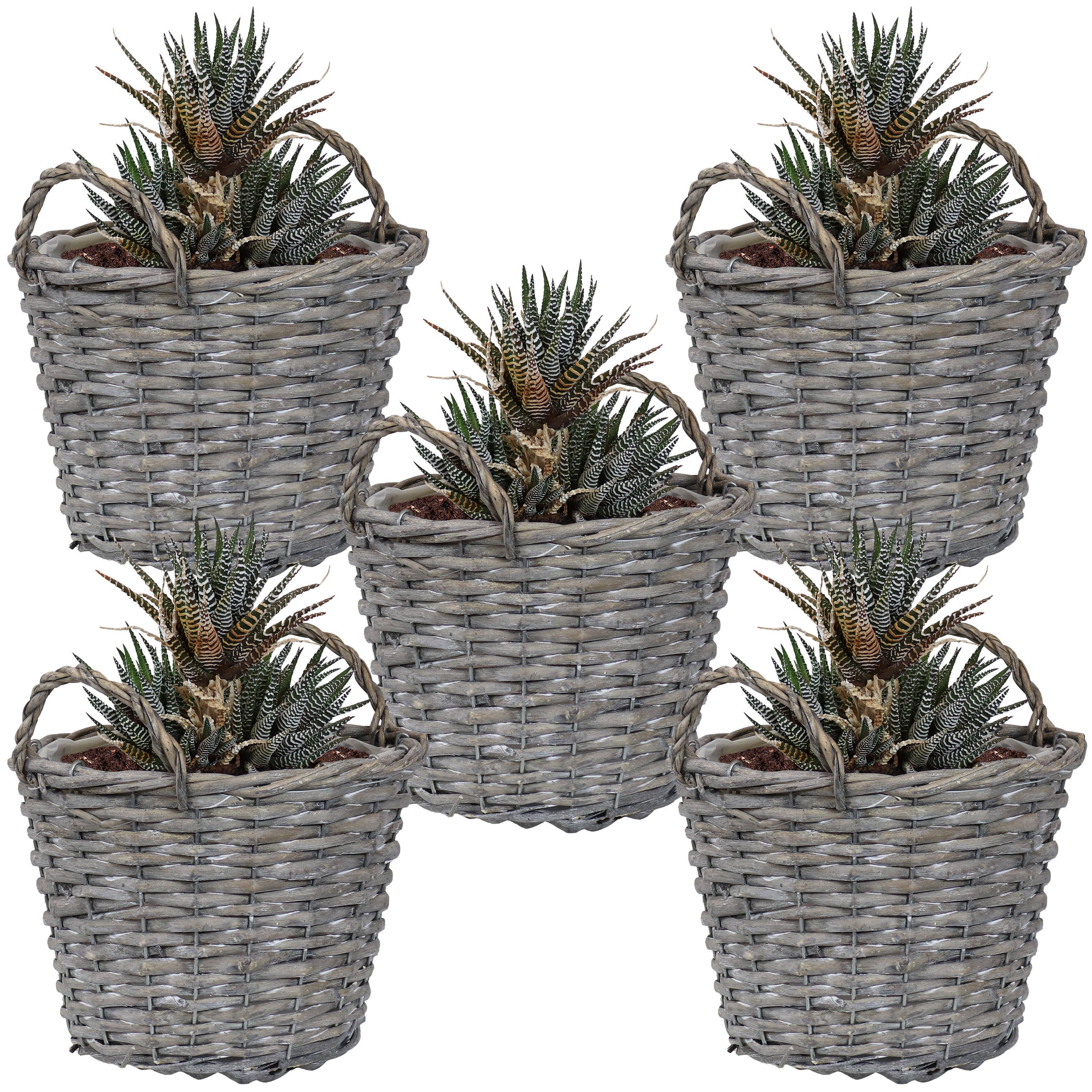 Sunnydaze Decor - Wholesale Plant Pot - 8 in Rattan Wicker Basket Planters with Handles - Set of 55