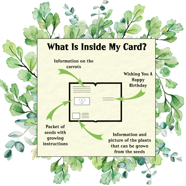 Seeds with Love – wholesale Birthday card – Vintage Veg Birthday Card - Gift Of Carrot seeds2