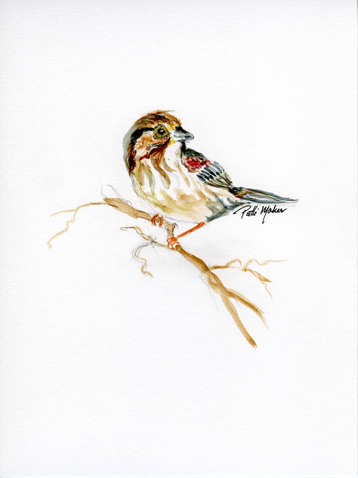 Oiseau pour la vente par Fine Lines