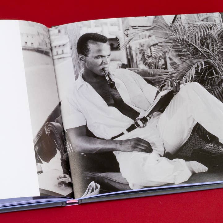 Chronicle Books - Wholesale Arts & Entertainment - The Hollywood Book Club11