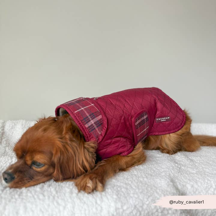 Cocopup London - Wholesale Pet coat – Dog - LUXE Quilted Dog Coat - Mulberry Plaid13