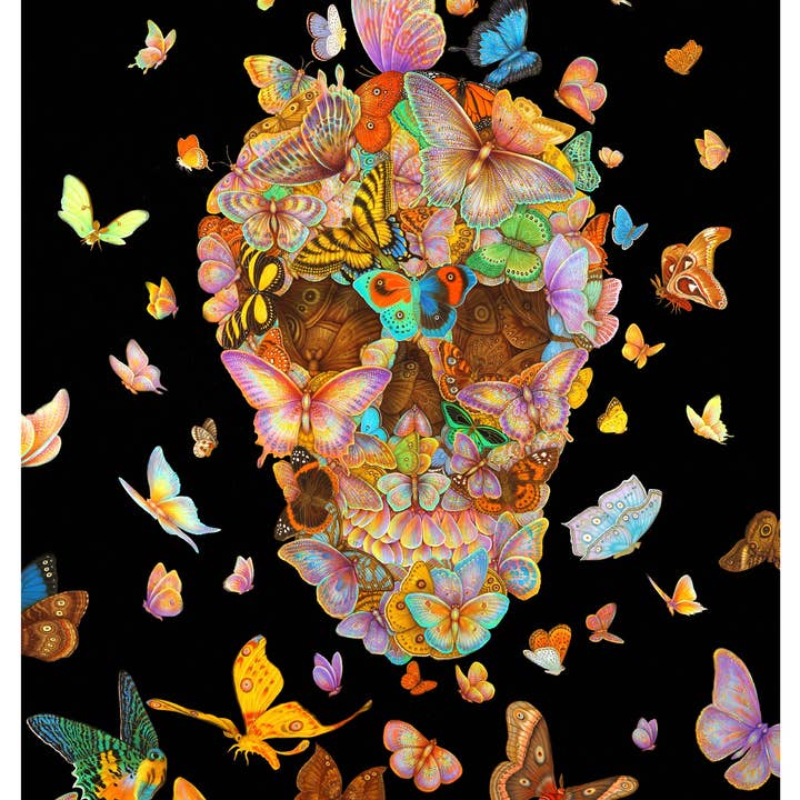 Pomegranate - Wholesale Stationery/Notecard Set - Day of the Dead: Tino Rodriguez & Virgo Paraiso Boxed Notecard Assortment