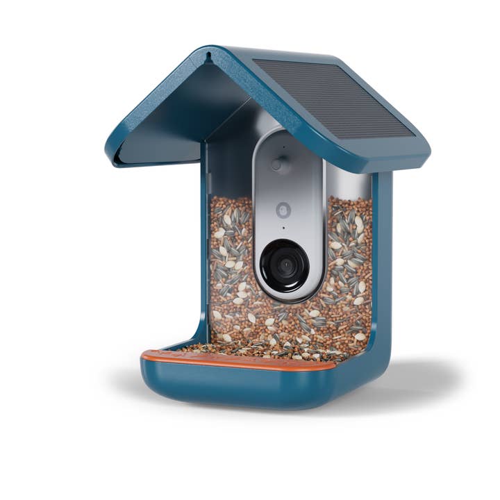 Bird Buddy - Wholesale Bird Feeder - Bird Buddy Smart Bird Feeder PRO with Solar Roof - Blue