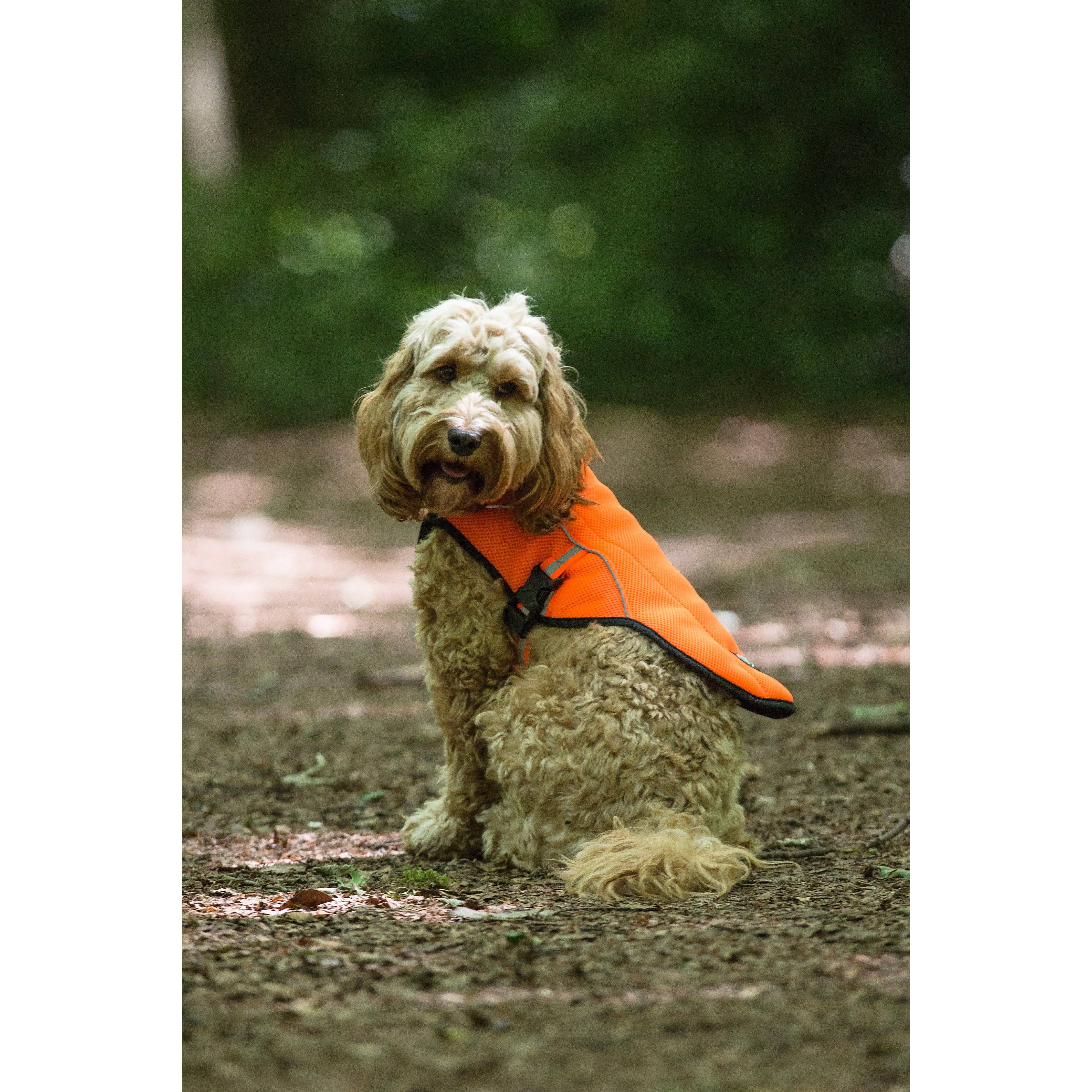 Paws & Presto - Venta al por mayor Chaleco - Perros - Chaleco refrescante para perros Paws & Presto