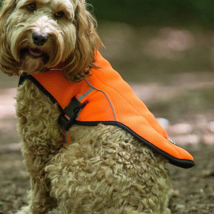 Paws & Presto Dog Cooling Vest for wholesale by Paws & Presto