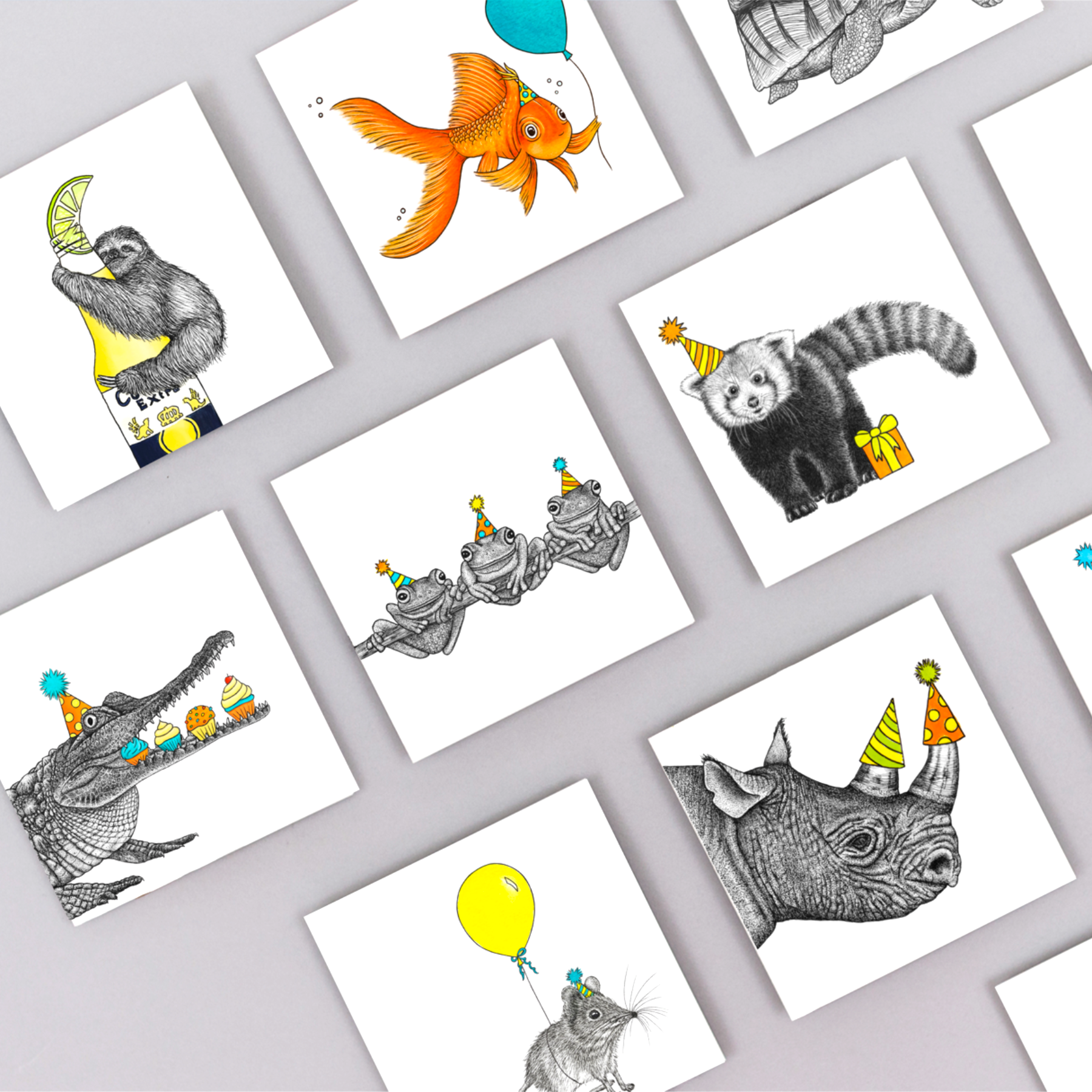 Wild Lines - Wholesale Birthday Card - Crocodile Birthday Card // Funny Animal Birthday Cards4