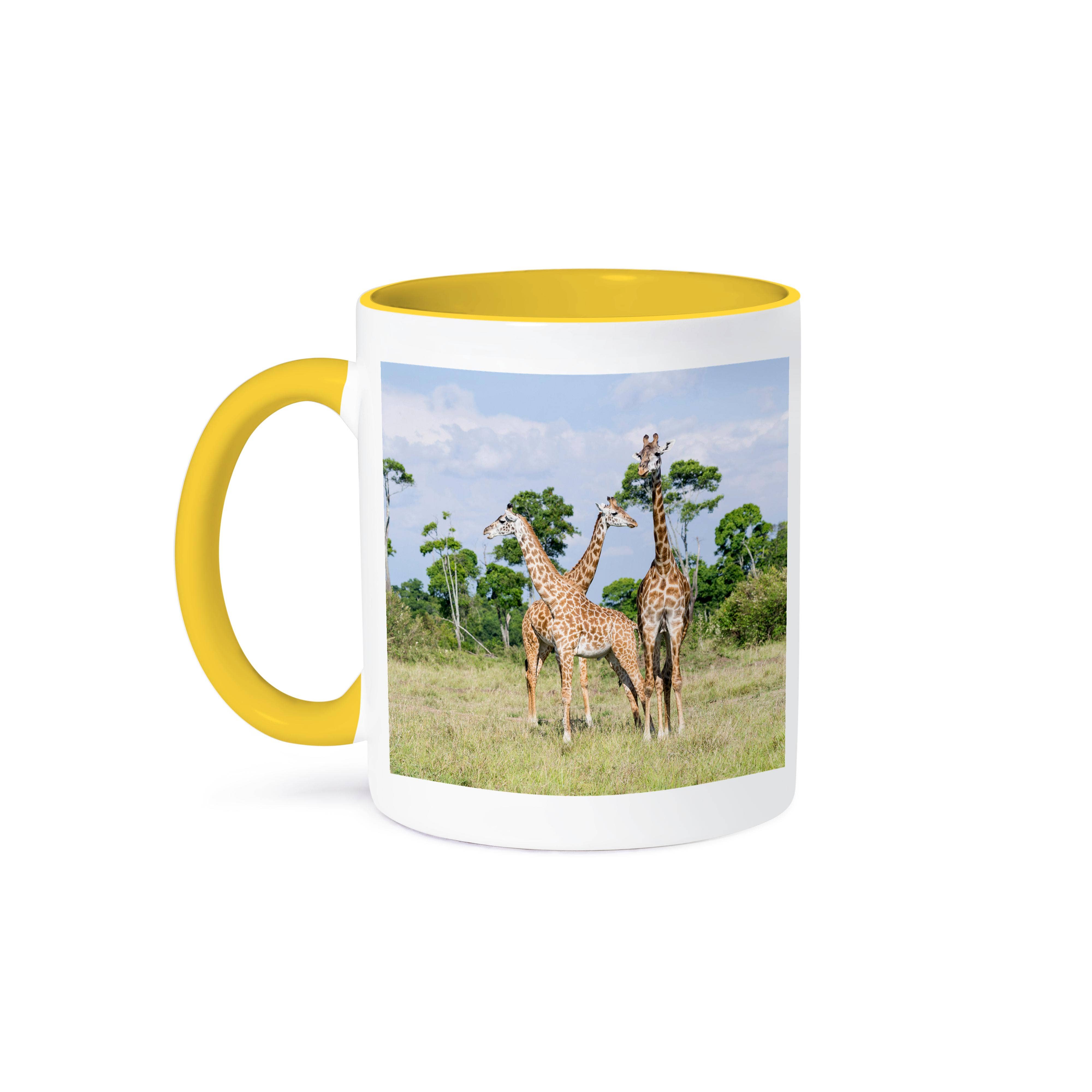 3dRose - Wholesale Coffee Mug - 3dRose, Maasai Giraffe in the Maasai Mara Game Reserve, Kenya, Africa., Mug0