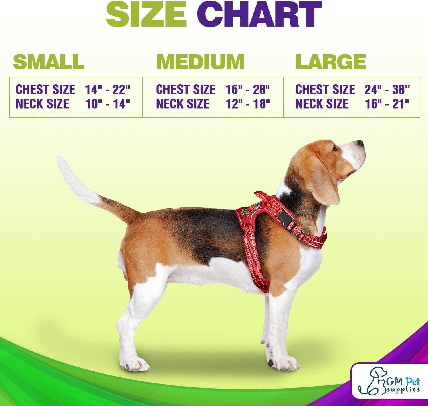 Katziela - Wholesale Pet Harness - Dog - Dog Harness Walking kit and Leash Set12