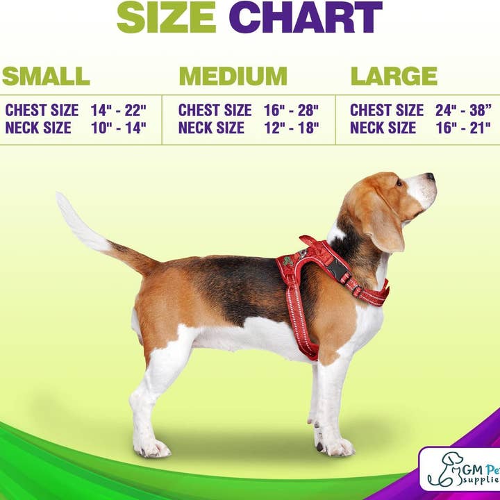 Katziela - Wholesale Pet Harness - Dog - Dog Harness Walking kit and Leash Set12