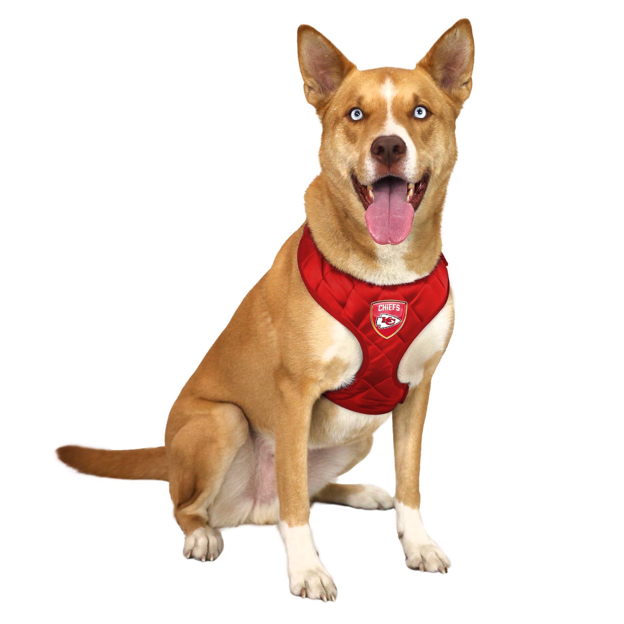 Little Earth Productions - Wholesale Pet Harness - Dog - NFL Kansas City Chiefs Velvet Pet Harness1