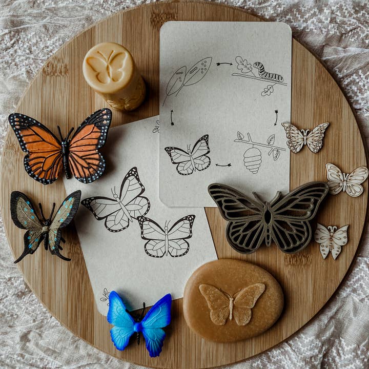 Lifecycle flashcards vlinder - Educatief speelgoed voor wholesale door Wildebras