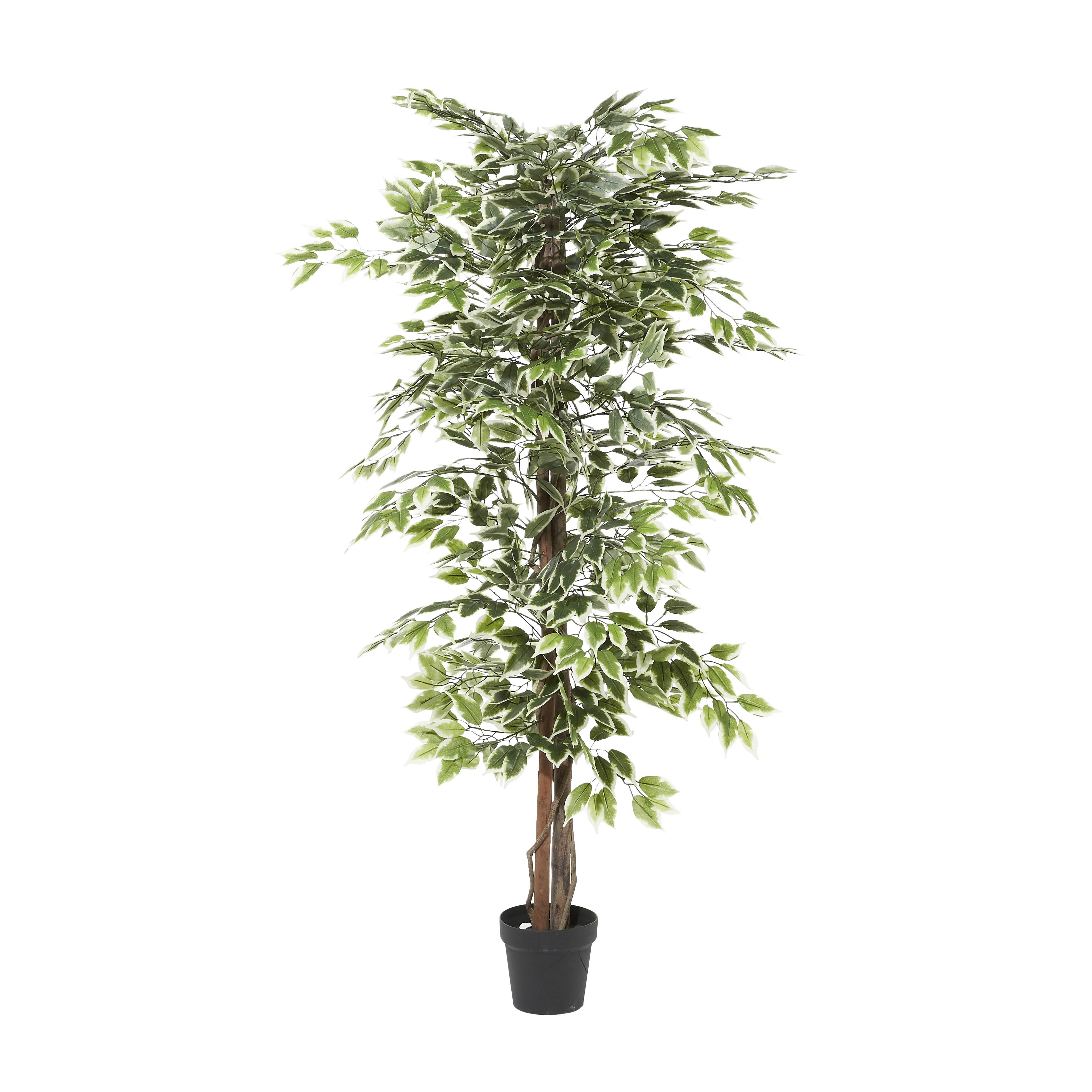 Import Corner – wholesale Artificial plant – A-88287: ARTIFICIAL FICUS TREE IN POT 73"H3