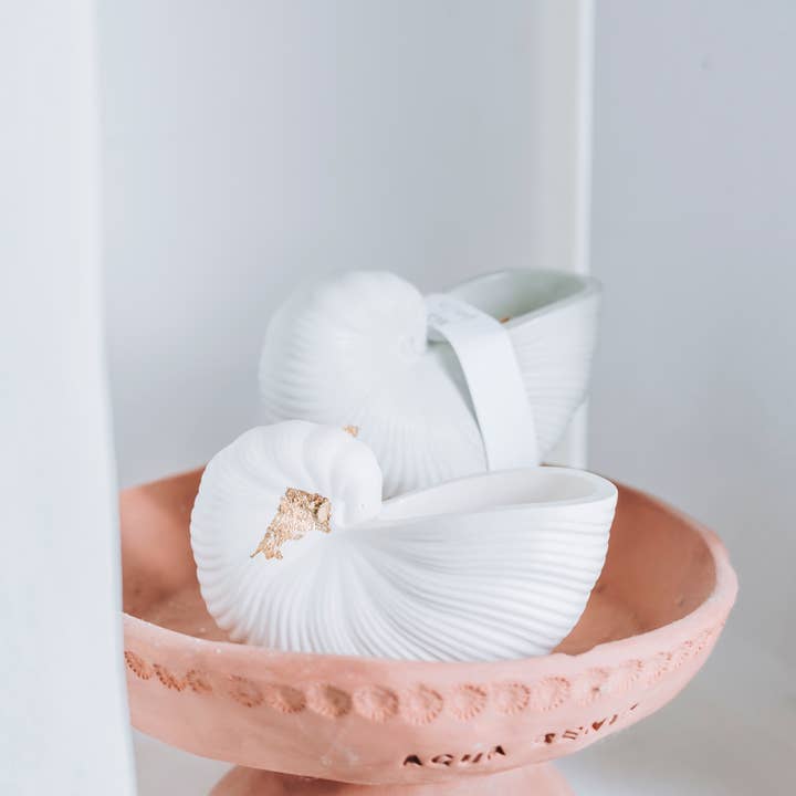 Agua Benta - Wholesale Jar/Filled Candle - Ostra shell candle soy wax2