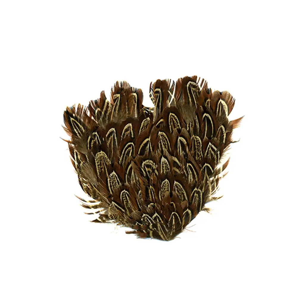 Zucker Feather Products - Wholesale Craft Supplies - Almond Ringneck - Blue-Grey with Black and Beige Markings0