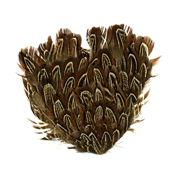 Zucker Feather Products - Wholesale Craft Supplies - Almond Ringneck - Blue-Grey with Black and Beige Markings0