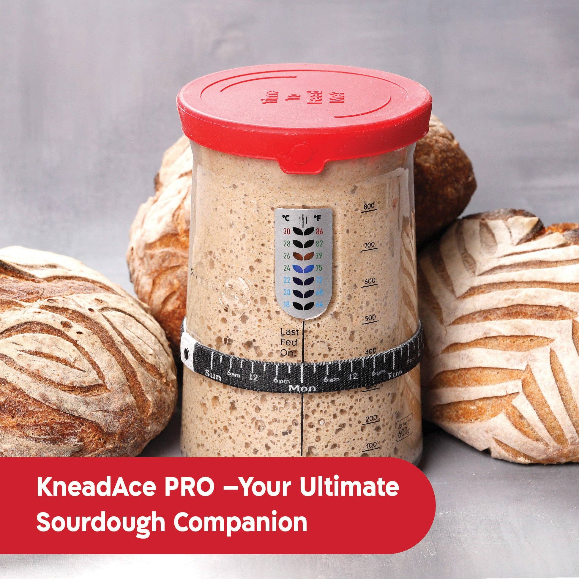 KneadAce – wholesale Kitchen tool/gadget – KneadAce® PRO  34 Oz Sourdough Starter Jar9