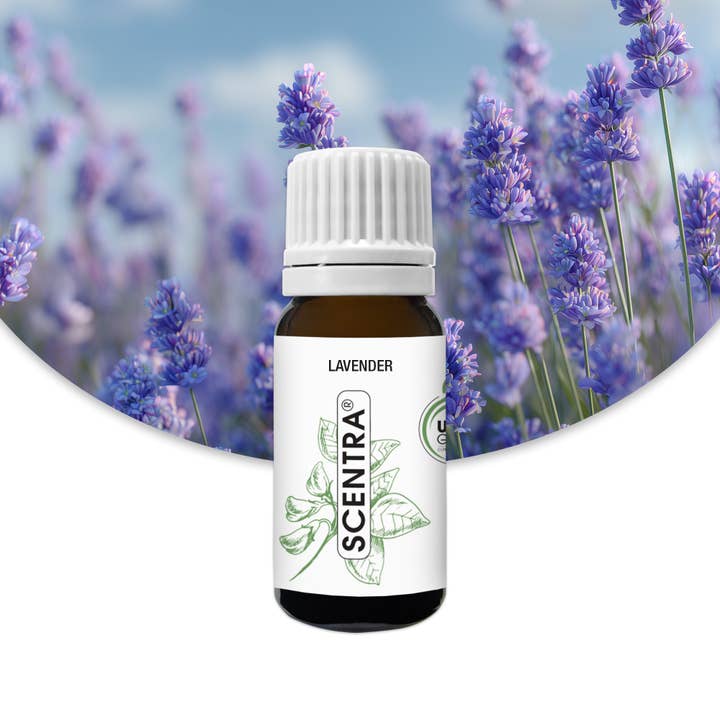 Lavendel - Doftolja för wholesale av Aspol Scentra GmbH