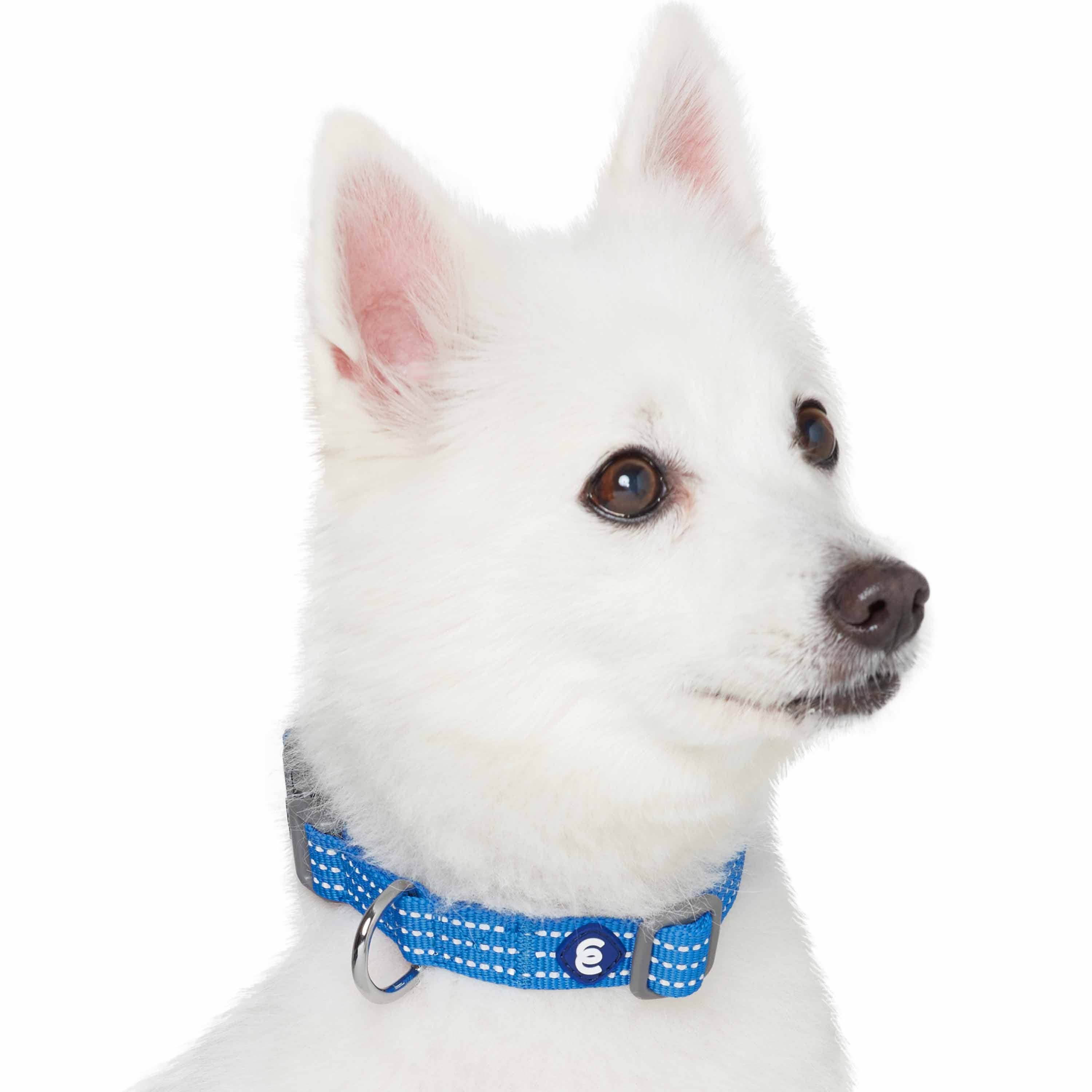 Blueberry Pet - Venta al por mayor Collar - Perros - Collar reflectante para perros Better Basic en 8 colores38