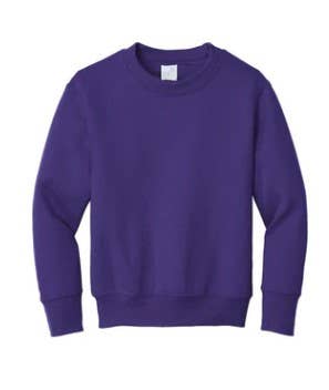 India Boutique, Inc. - Wholesale Sweatshirt - Kids - Y-106 PLAIN6