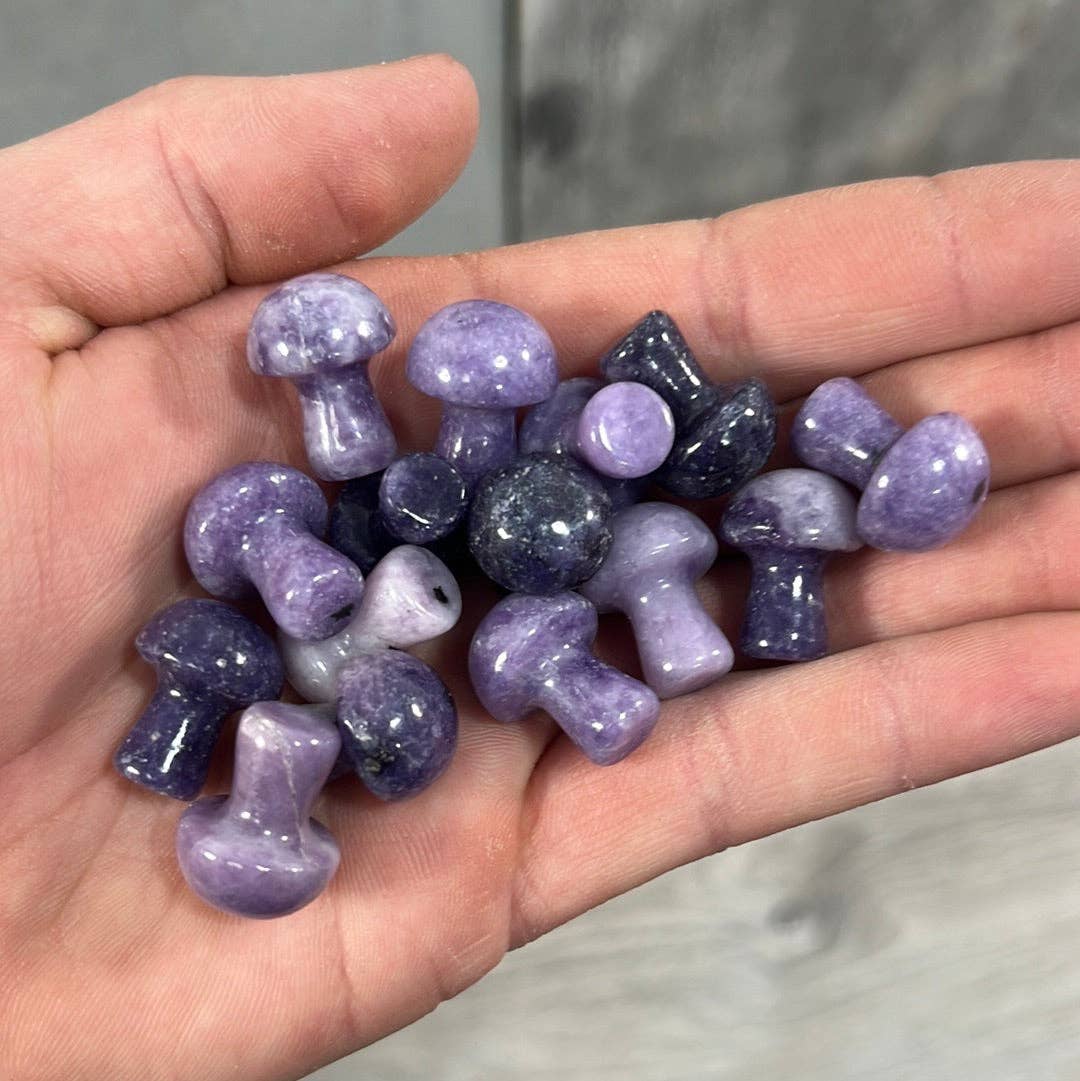 Keystone Crystals - Wholesale Spiritual Stone/Crystal -  Small Gemstone Mushrooms for Crystal and Gift Shops 12