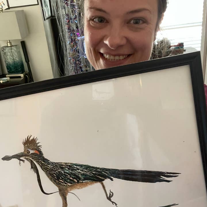 Bird Art by KB - Wholesale Art Print - Roadrunner - Giclee Print2