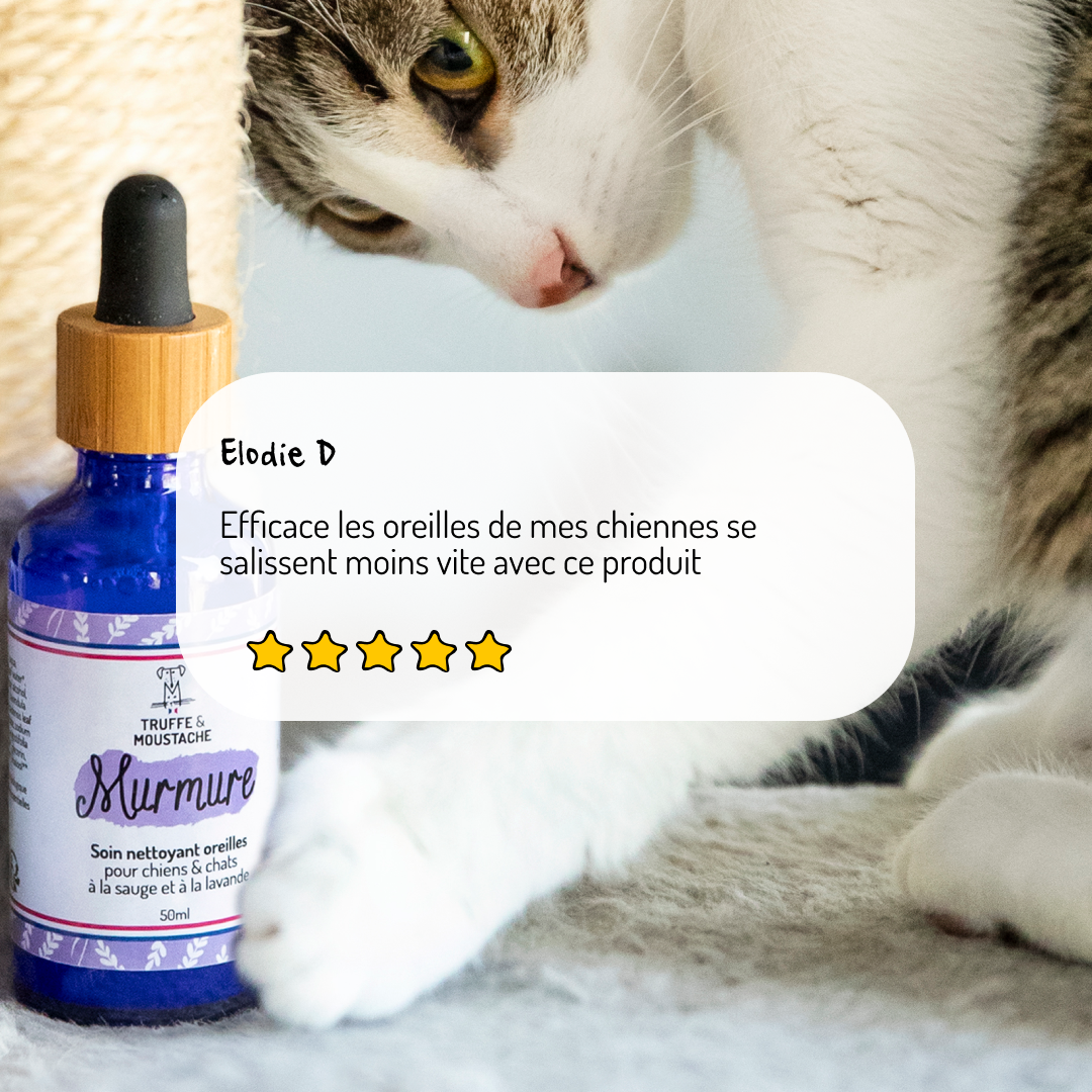 Truffe & Moustache - Vendita all'ingrosso Prodotti per la pulizia degli animali - Detergente auricolare naturale al 96% per cani e gatti, « Whisper »3