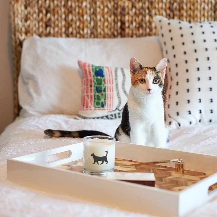 Scripted Fragrance - Wholesale Jar/Filled Candle - Cat Pet Soy Candle3