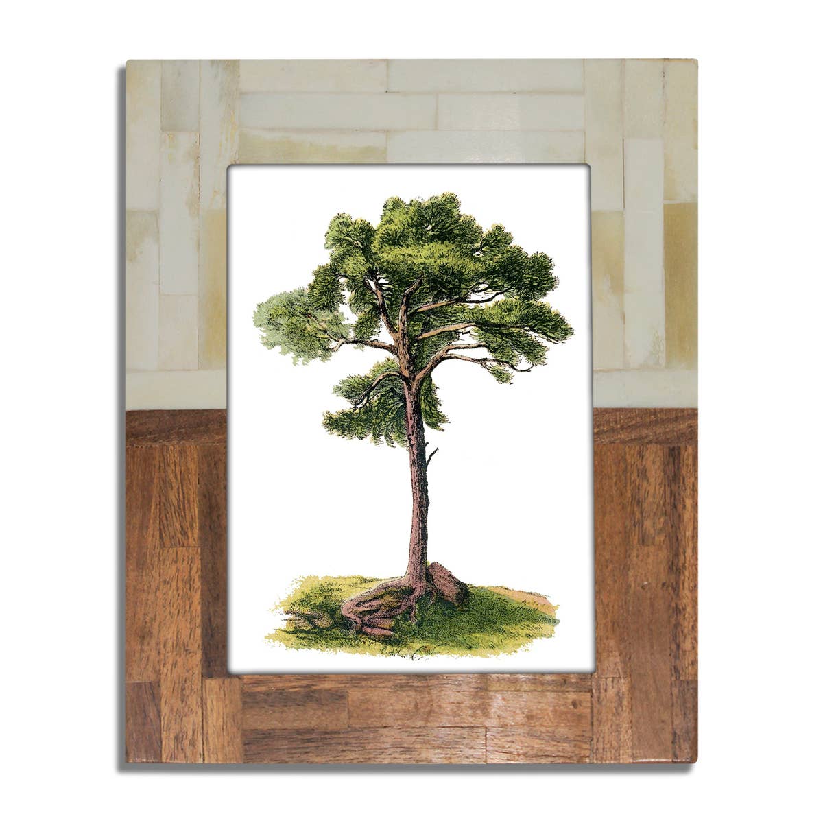 India Handicrafts Inc - Wholesale Picture Frame - Half Split Wood & Bone Photo Frame2