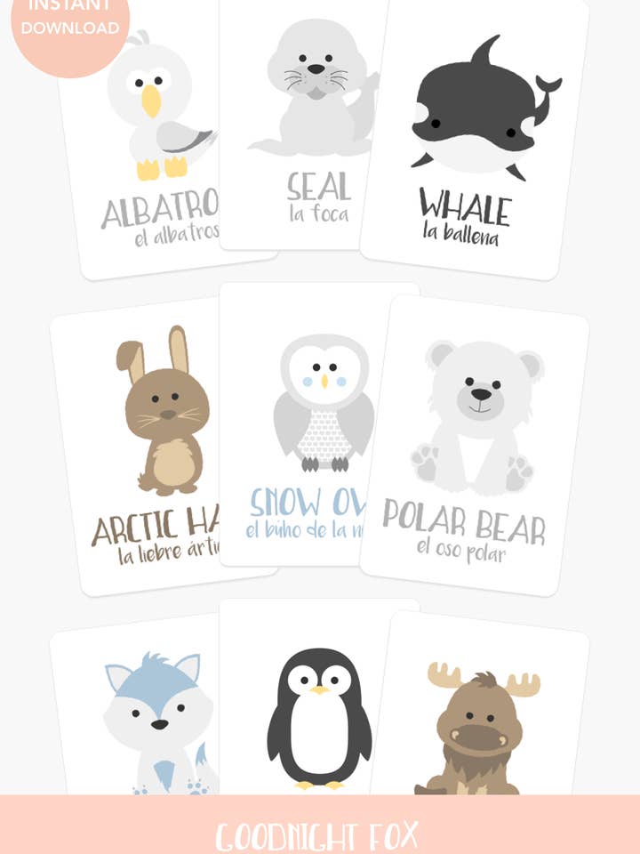 Arctic Animal Flashcards for wholesale by GoodnightFox