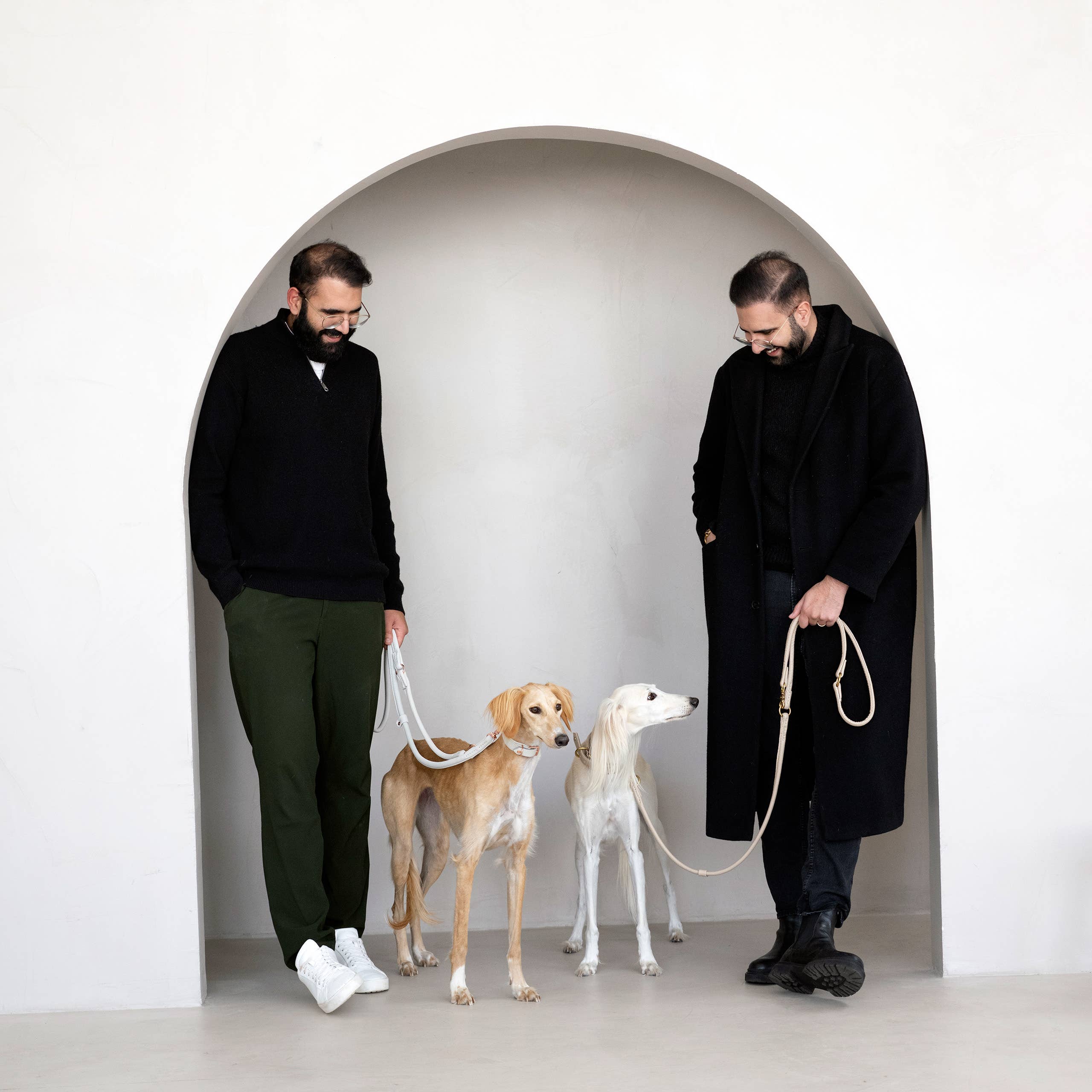 LABONI - Volentis GmbH - Wholesale Pet Collar - Dog - AMICI dog collar54