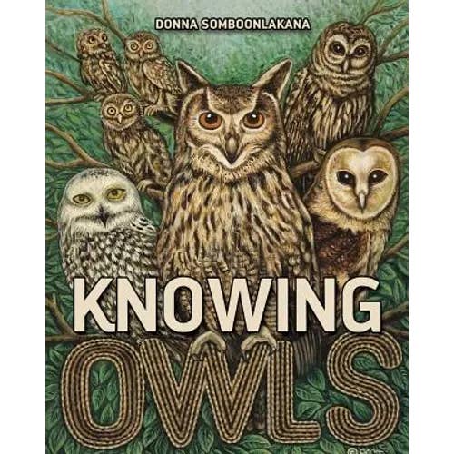 Books by splitShops - Wholesale Book - Kids - Knowing Owls - Paperback