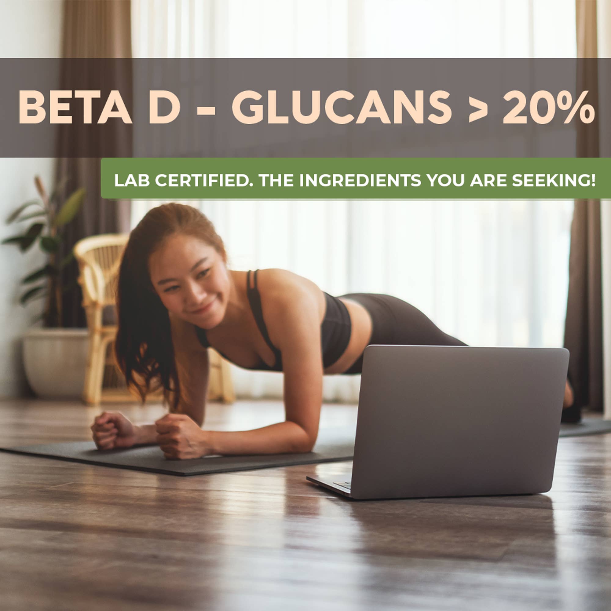 Longevity Botanicals - Wholesale Protein/Superfood Powder - 15 Mushroom Blend Powder 100g: Immune & Vitality Supplement6