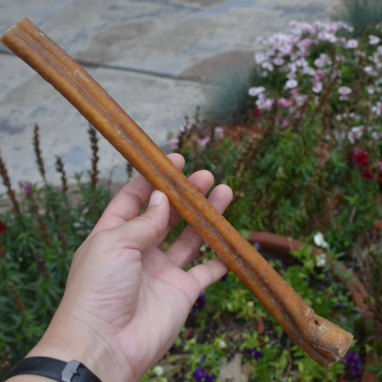 QT Dog, LLC - Wholesale Pet Treats - Dog - 12" Premium Bully Stickz - 2 pcs (Case Pack 12)3