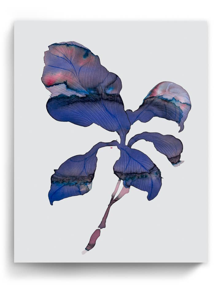 Botaniska väggkonsttryck Abstrakt flora växt Akvarell Papper & duk | Orpha 1 för wholesale av Marta Spendowska