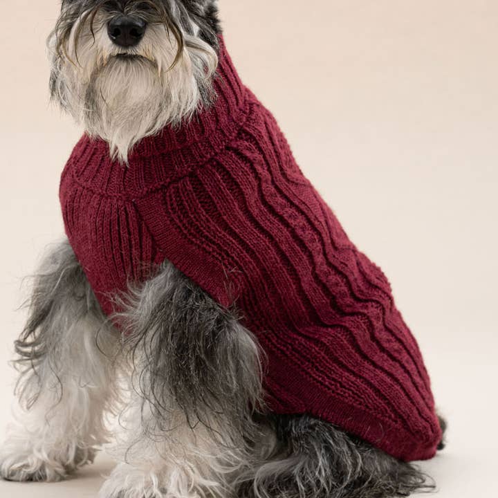 Weinroter Aran-Alpaka-Hundepullover für den Großhandel von Alqo Wasi